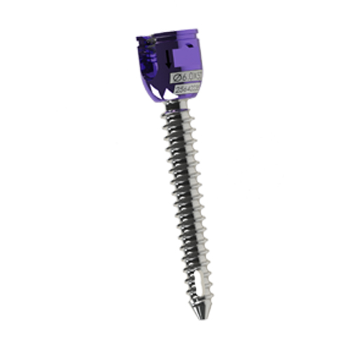 CREASPINE-spinal-solution